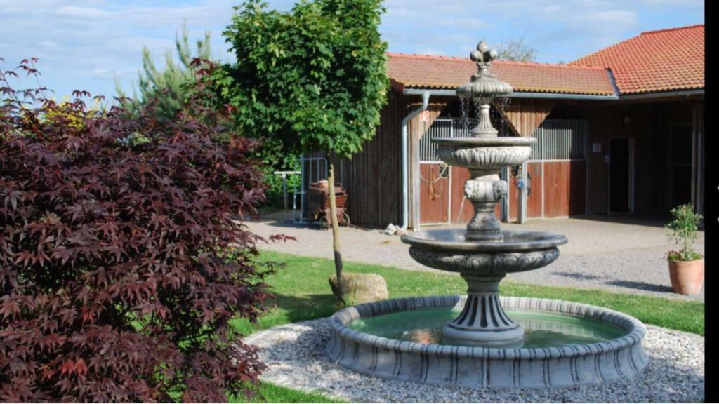 Ferienwohnung Gestüt Tiefenhof Nittenau Exterior foto
