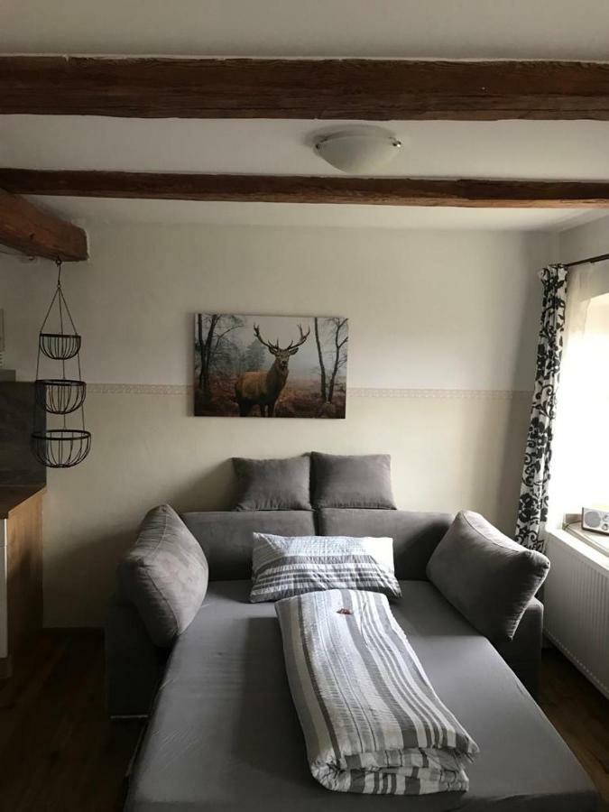 Ferienwohnung Gestüt Tiefenhof Nittenau Exterior foto